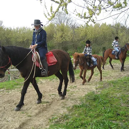 アパート Marilena & *